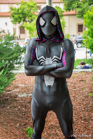 SVCC_2017_
