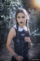 Wednesday_Addams_Danielle.Claire_