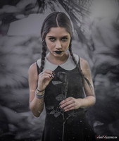 Wednesday_Addams_Danielle.Claire_-10