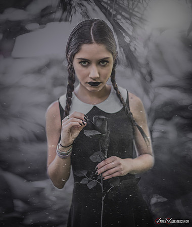 Wednesday_Addams_Danielle.Claire_-10