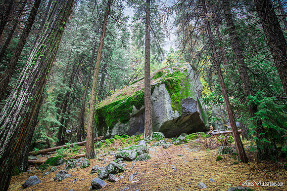 Yosemite National Park October 2016
