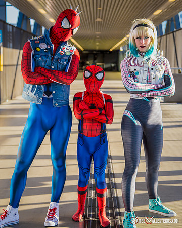 Punk Spider-Verse