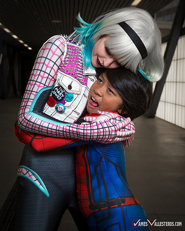 Punk Spider-Verse