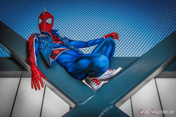 Punk Spider-Verse