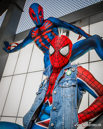 Punk Spider-Verse