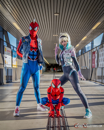 Punk Spider-Verse