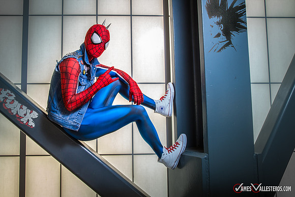 Punk Spider-Verse