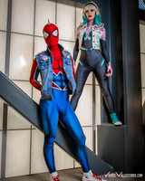 Punk Spider-Verse