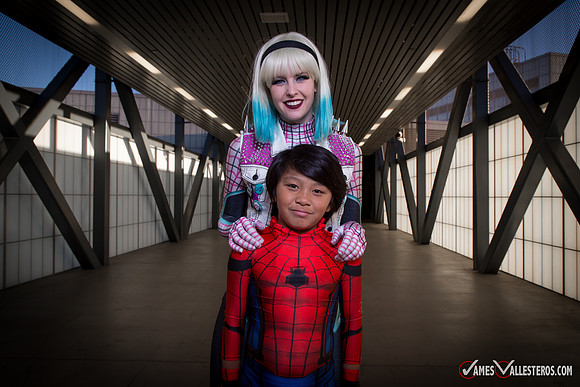 Punk Spider-Verse