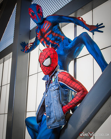 Punk Spider-Verse