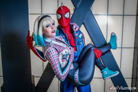 Punk Spider-Verse