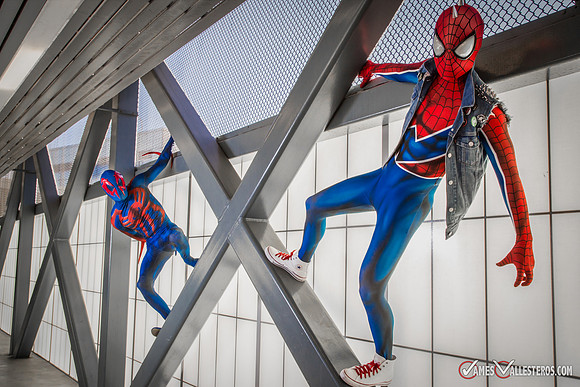 Punk Spider-Verse