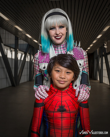 Punk Spider-Verse
