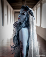 Tim Burton's Corpse Bride