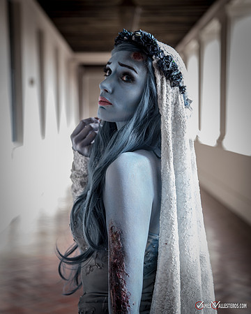 Tim Burton's Corpse Bride