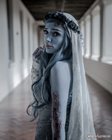 Tim Burton's Corpse Bride