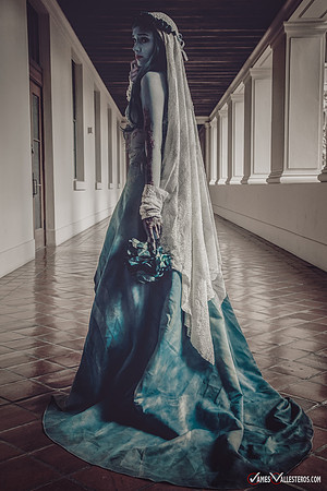 Tim Burton's Corpse Bride