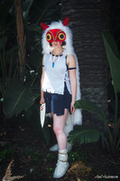Anime_Expo_2017_