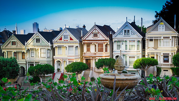 Painted Ladies at Alamo Part