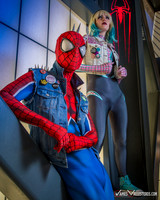 Punk Spider-Verse