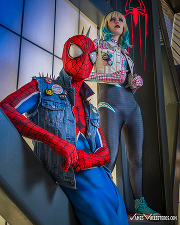 Punk Spider-Verse