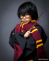 Harry Potter - MiniBobaFett
